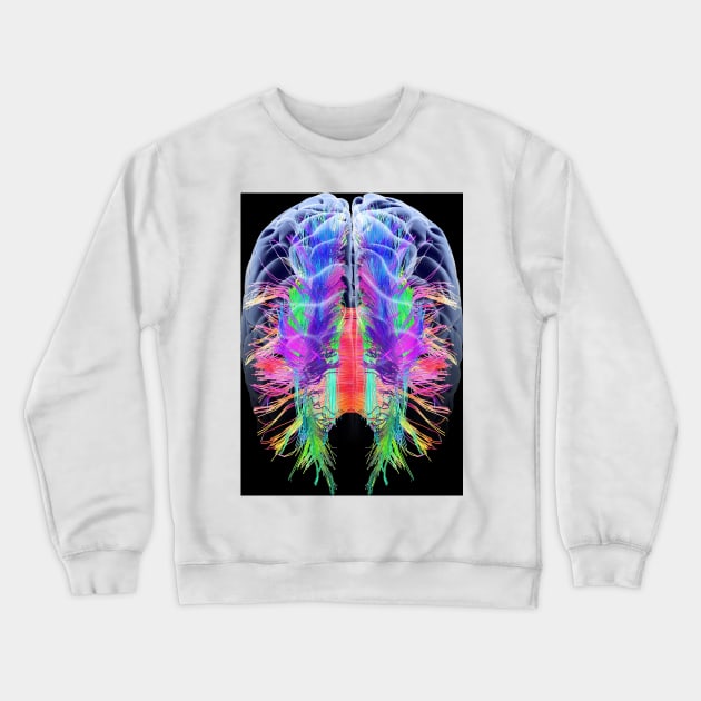 White matter fibres and brain, artwork (C015/1936) Crewneck Sweatshirt by SciencePhoto